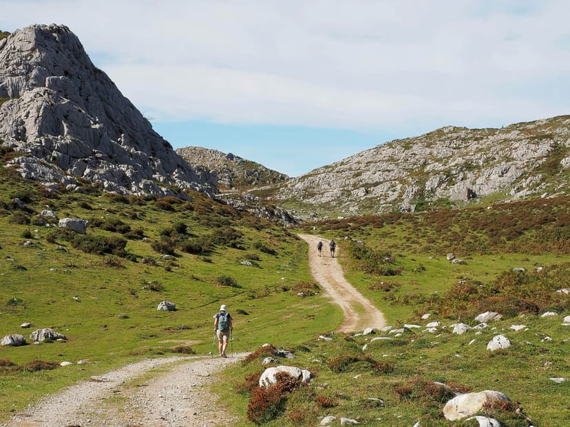 Selectie P9169112 Tom De Borger