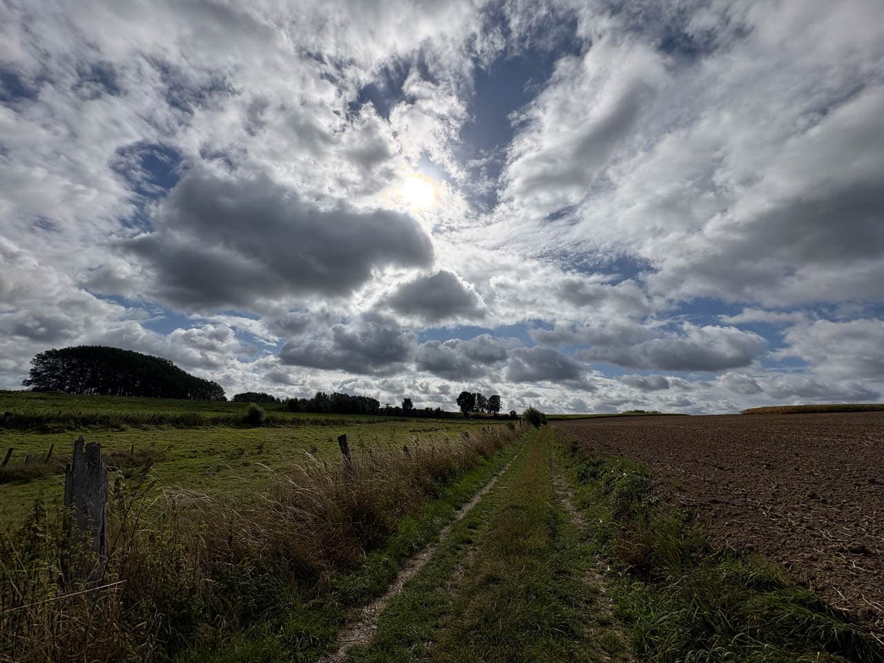 BE5PJA Image00001 Margot Pappijn