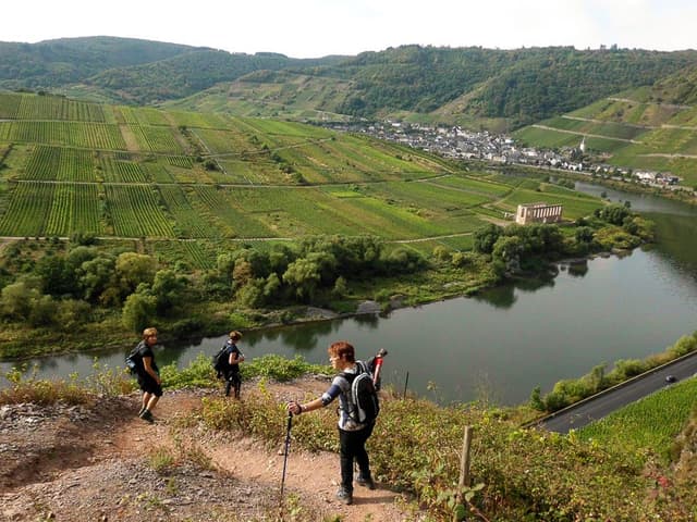 Moezel-12-Ann-Tilley-DSCI6695_export_w950