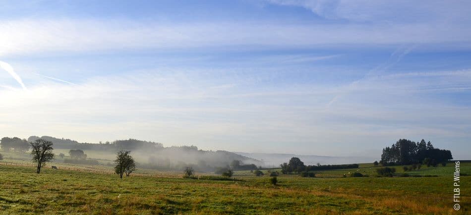 -FTLBPWillems-4_export_w950