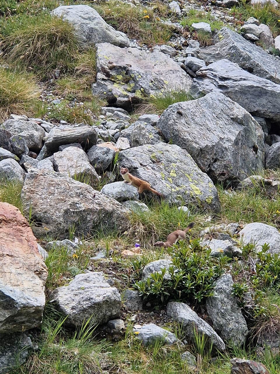 Groot Formaat 1000071002 Koen Somers