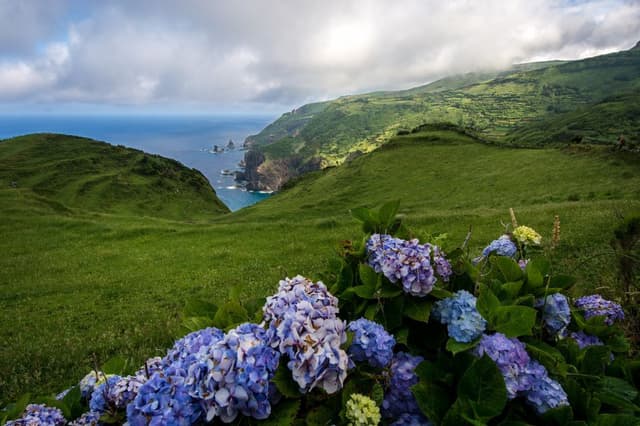 Azoren-2452-2013-Nancy-Van-Hoof_export