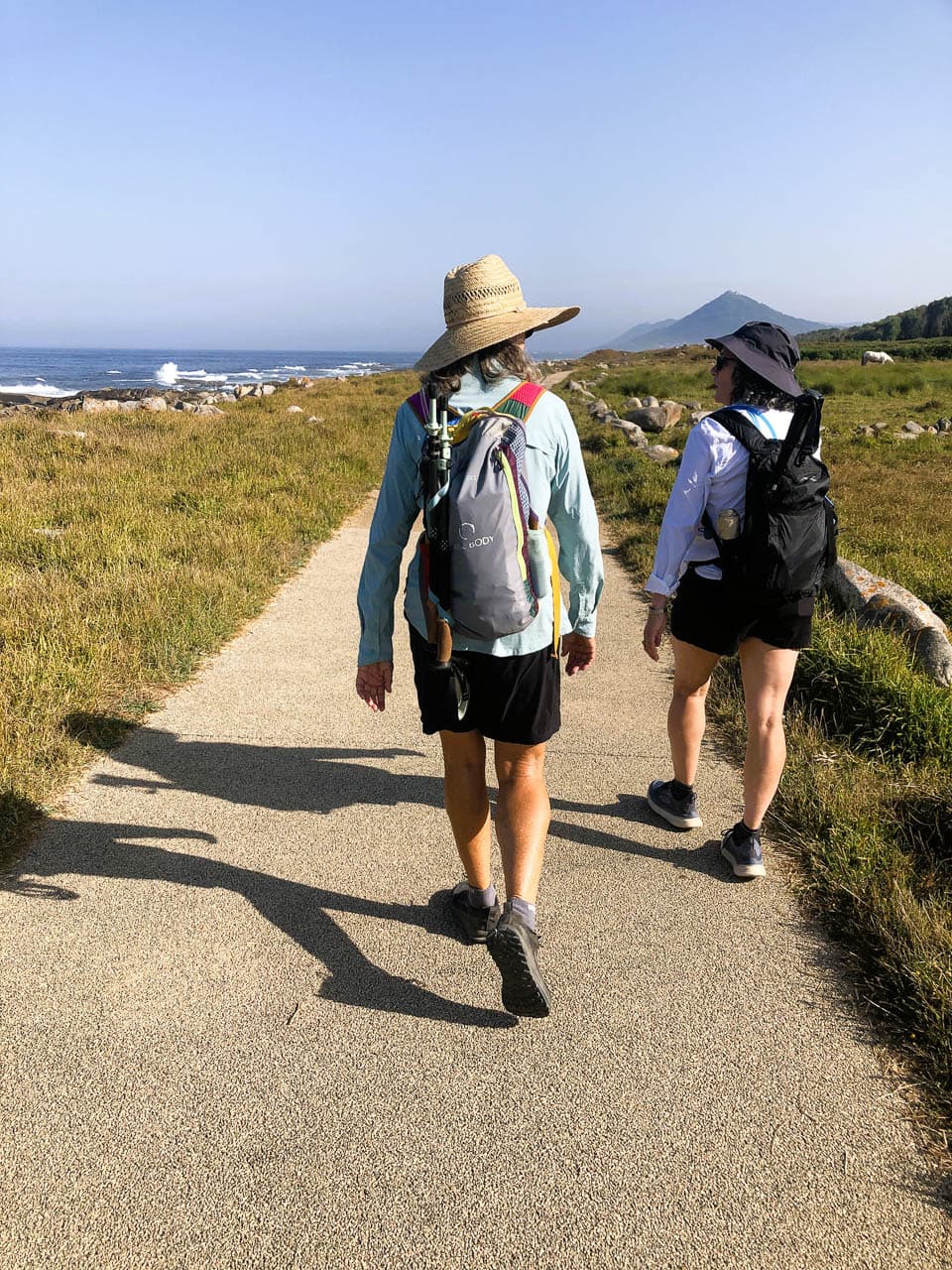 PT5PSB 20250814 083559861 Ios Stéphanie Horemans