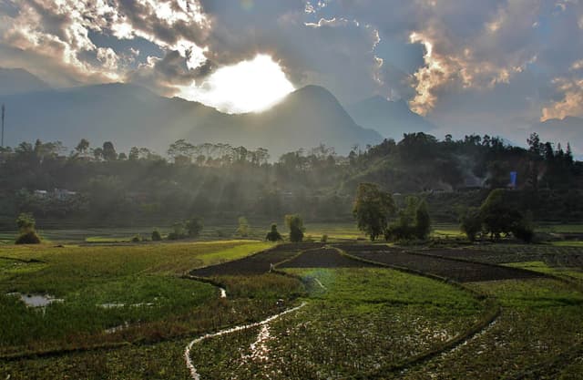 VN 228 Selectie Arne Vanwijnsberghe Arne Van Wijnsberghe W950