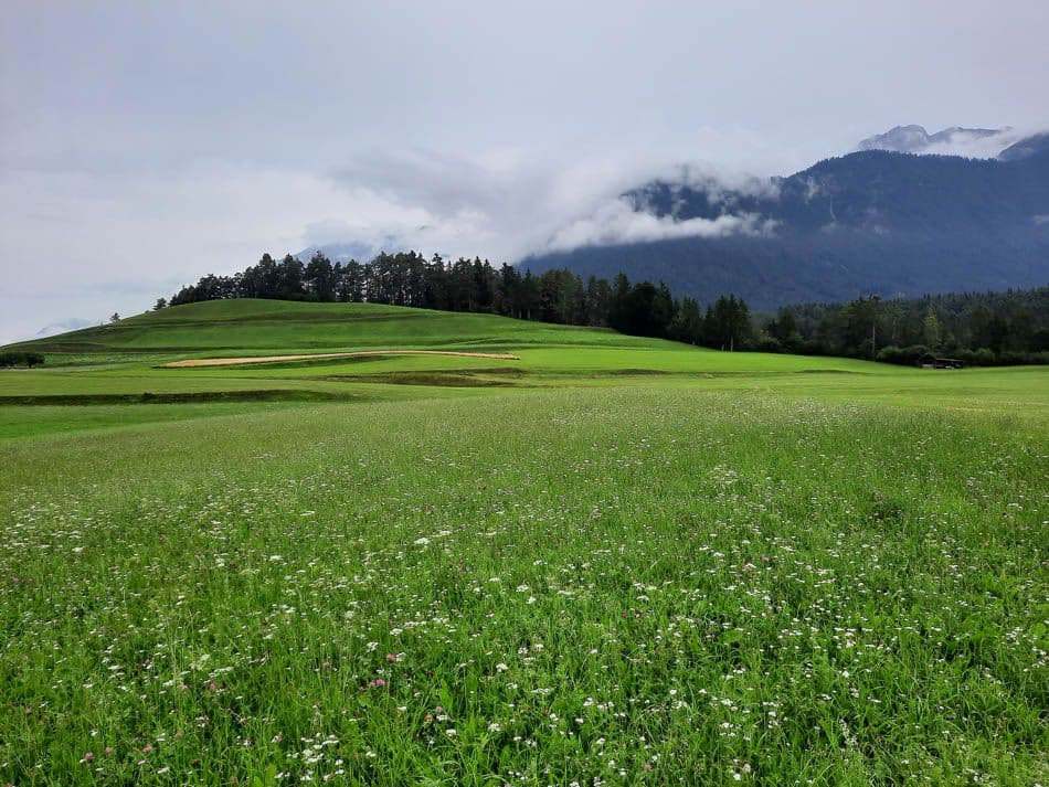 20210725_103938_Veronique Nechelput_w950