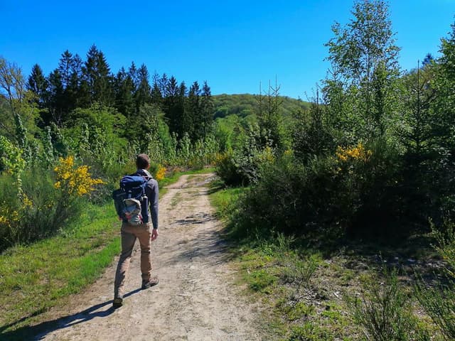 2021-05-29-poels-entre-lesse-et-lomme-40_poels-jf-lambert-_w950