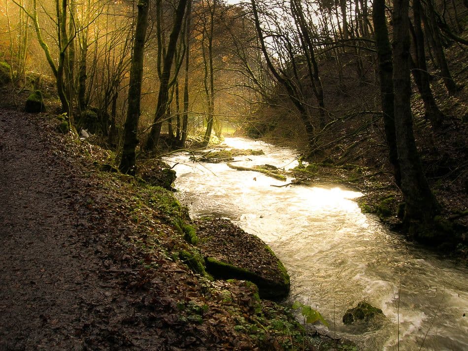 Moesel-Walter-Mertens-09-DSCN5150_export_w950