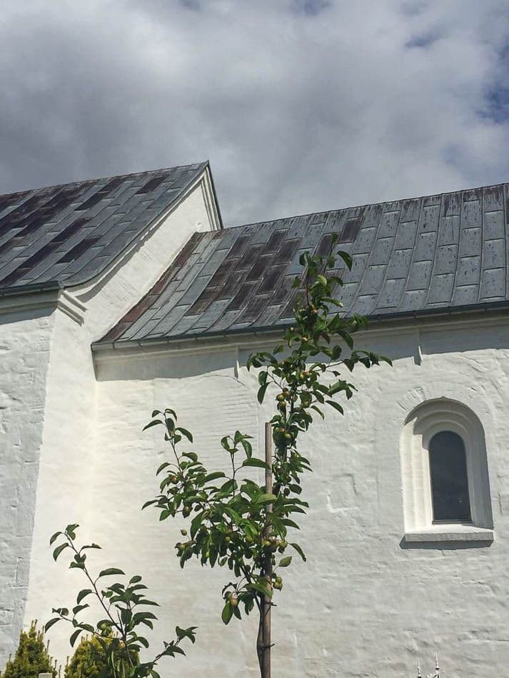 whatsapp-image-2021-10-09-1_katrien-boon_w950