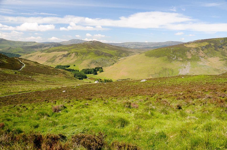 DSC_9589_export_w950 (2)