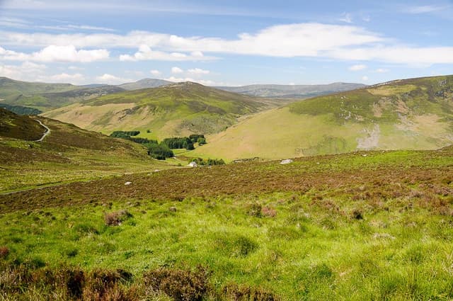 DSC_9589_export_w950 (2)