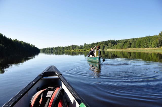 wilderness_header-1-1536x1020-fotos-reisbureau-richard--julia-w950