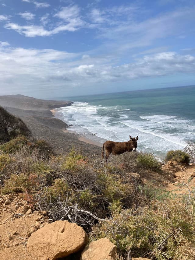 Afbeelding Van Whatsapp Op 2024 04 29 Om 20.32.32 9C4859ad Selectie Nancy Jans W950