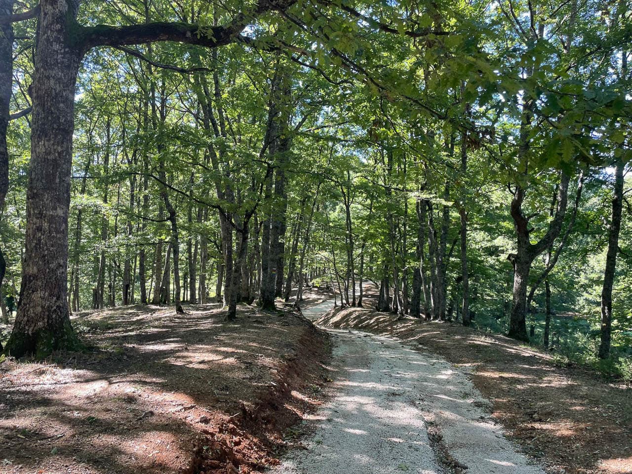 Selectie Whatsapp Image 2025 10 30 At 14.59.11 (4) Geert Oppeel