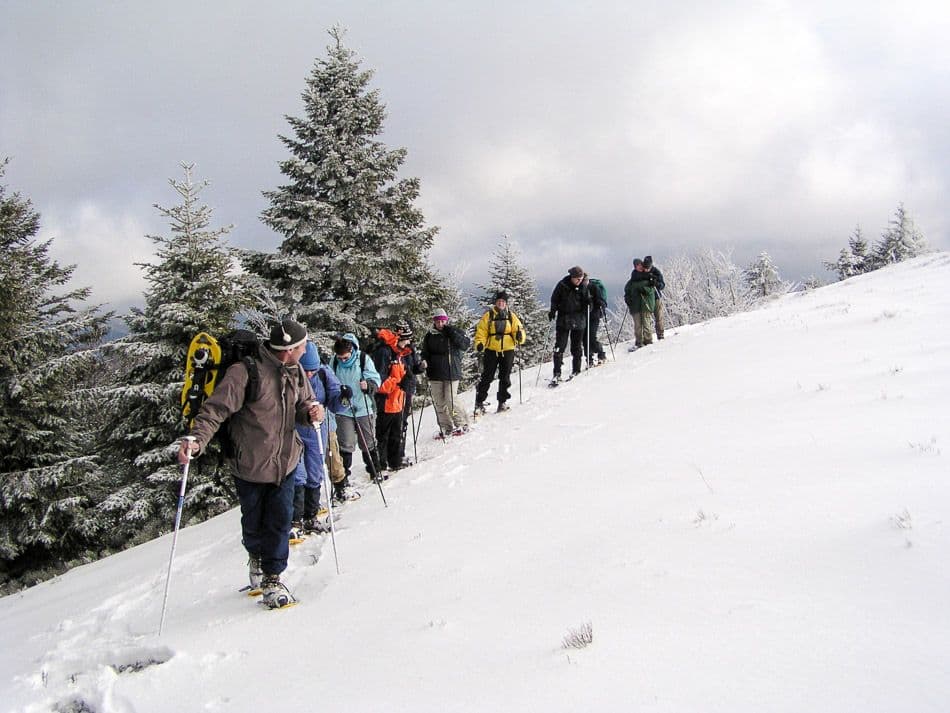 Vogezen 5 Budenaerts Geert Export W950 (1)