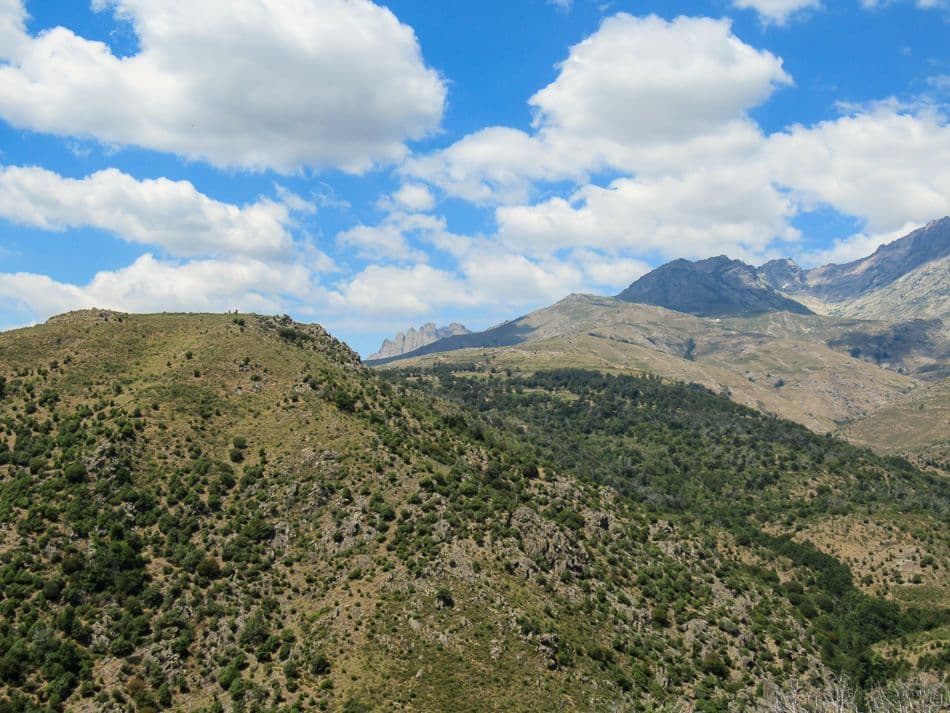 IMG_0183_export_w950