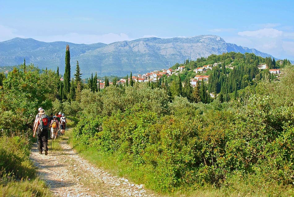 HR5DAA Wandelen Rond Zrnovo Export Ruud Peeten