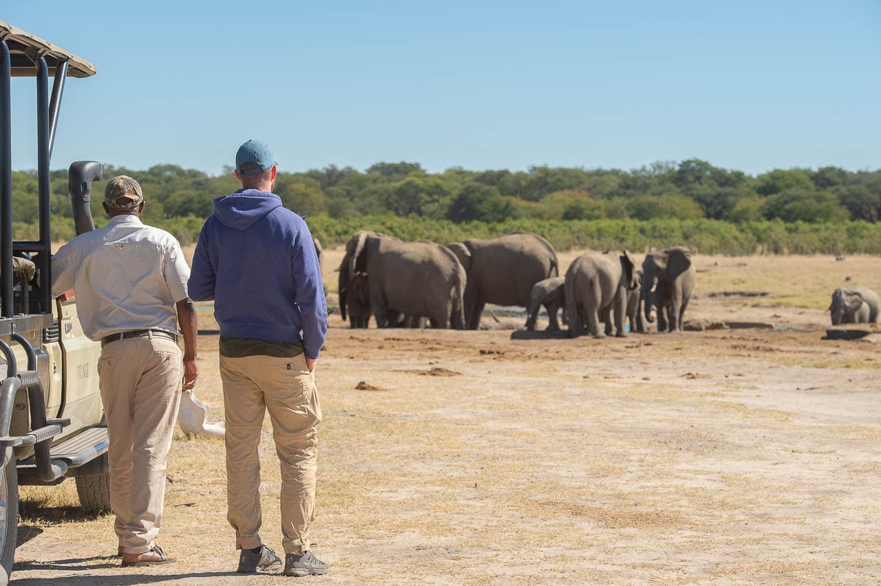 Sunways (Agent) Sunway Zimbabwe Hwange NP Bruce Taylor 0628