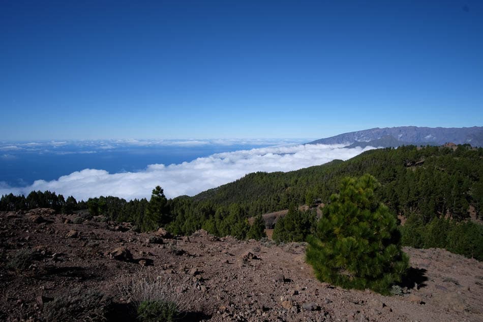 DSCF3221 Te Verwerken Maarten Caversoons W950