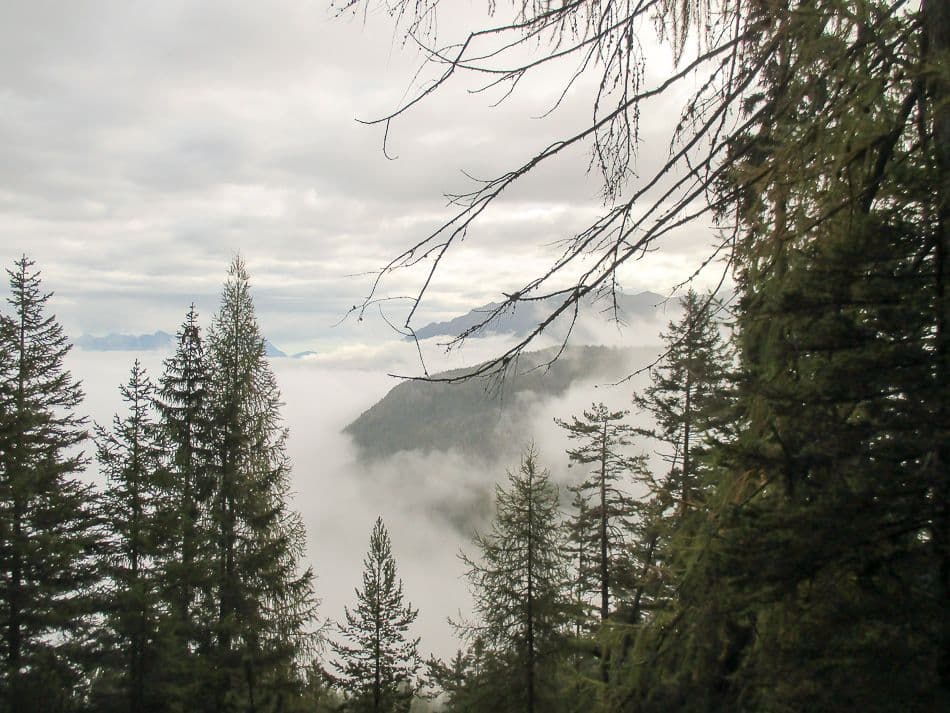 Afbeelding-086_export_w950