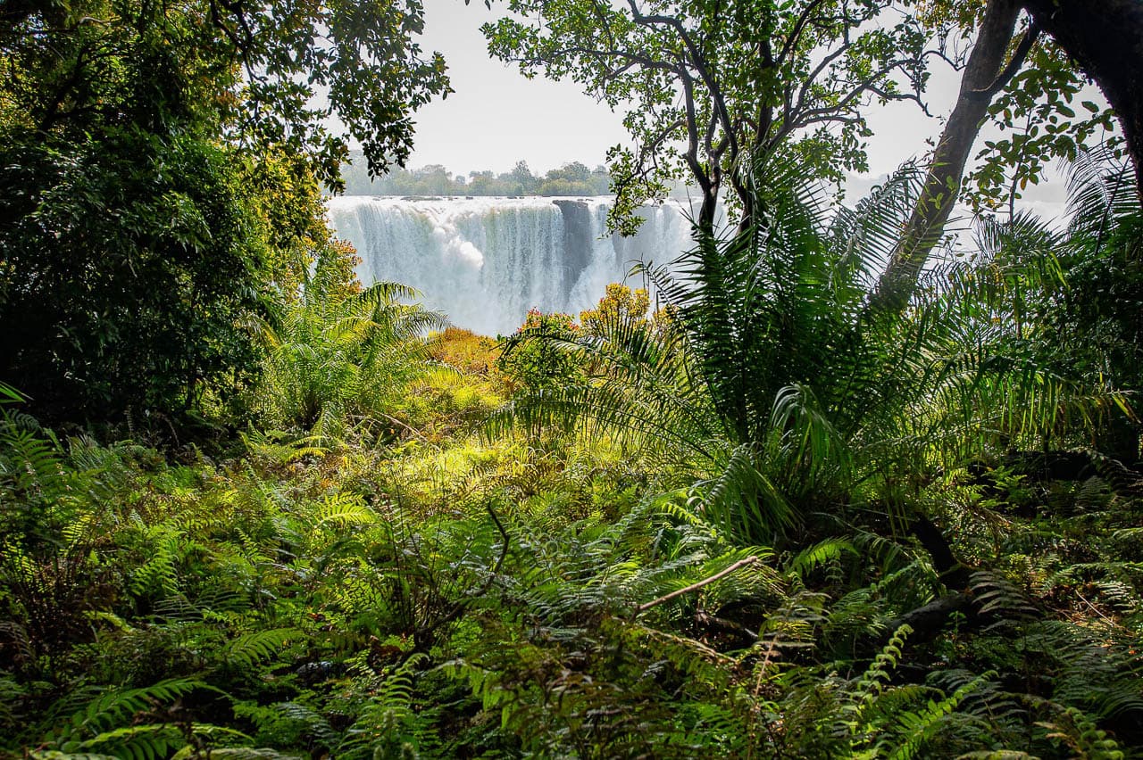 Sunways (Agent) Sunway Zimbabwe Victoria Falls Bruce Taylor 4950