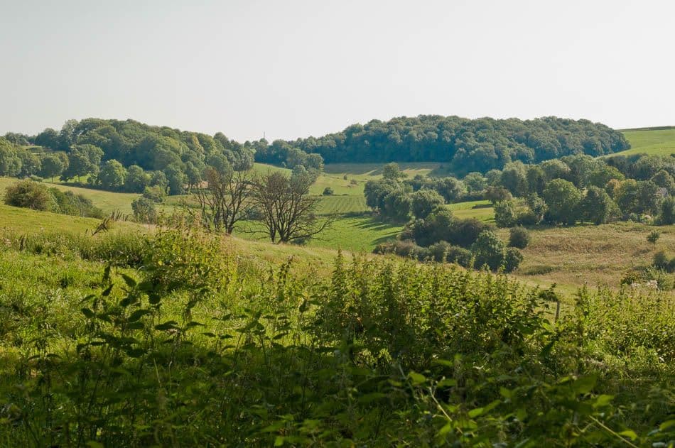 2012 08 19 Voeren 13B Chris Derynck_Chris Derynck_w950