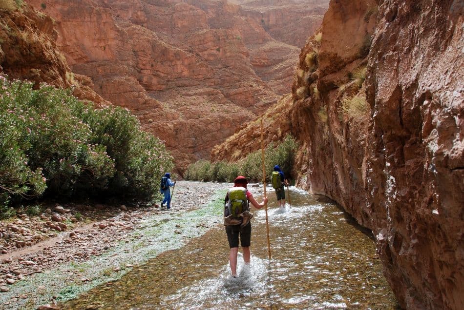 kve_NIKON-D80_20120705_171345_DSC_4235_export