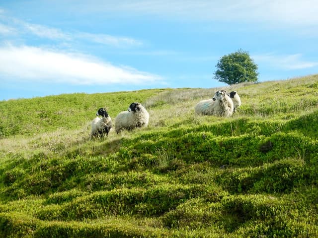 DSCN6022_export_w950