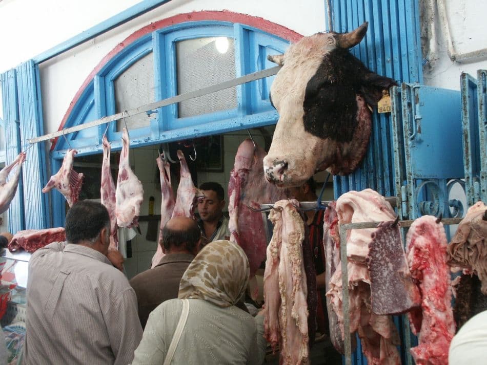 Tunesie-bergwoest-Gerd-Westhof-PICT0009_export