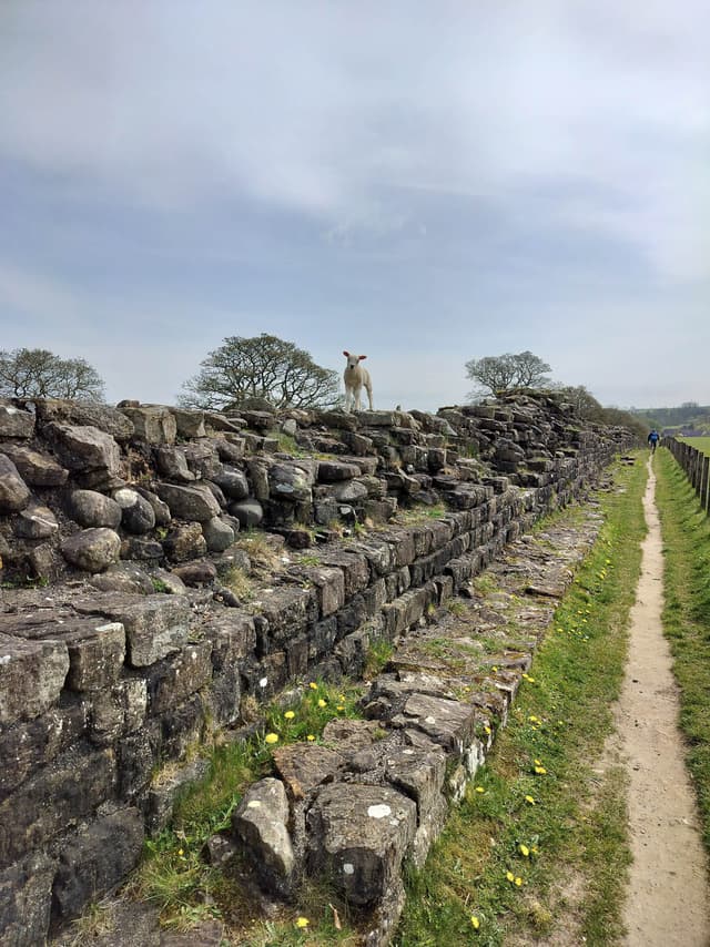 IMG20240502112750 Selectie Melissa Jo En Luc Vandeberg W950