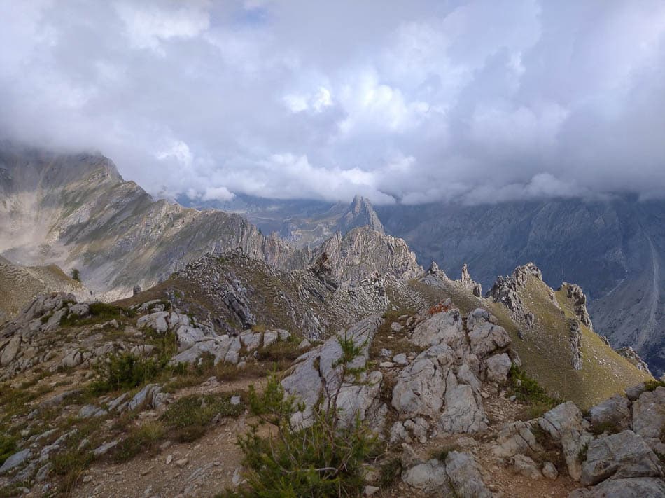 IMG_20210824_115049_1_Olivier van Hoey_w950