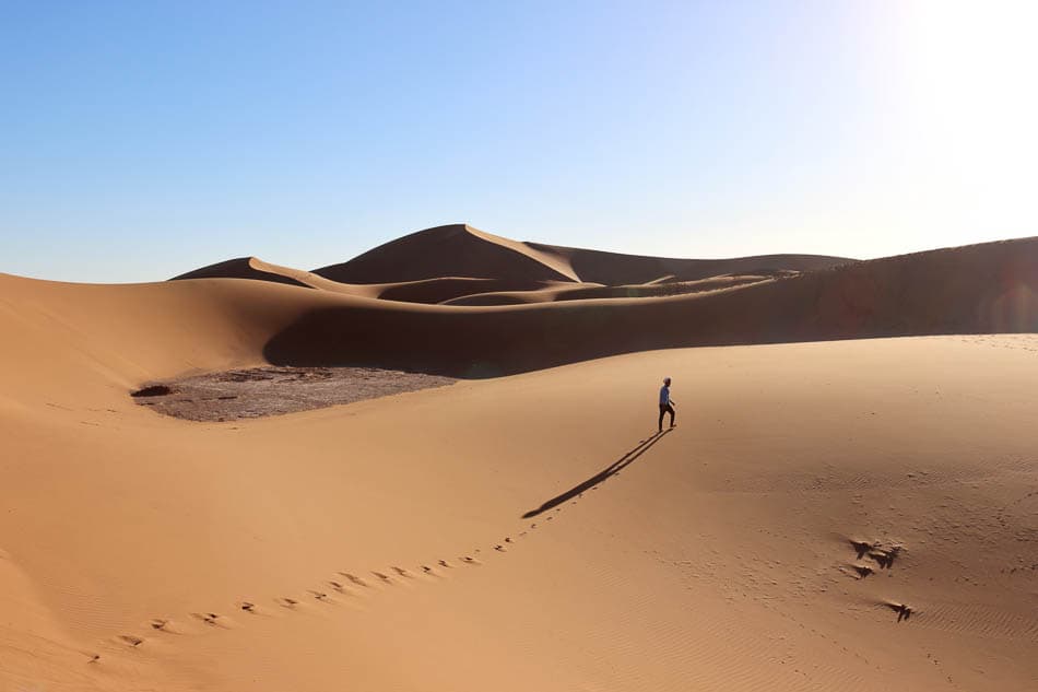 Sahara (156) Arne Vanwijnsberghe Arne Vanwijnsberghe W950