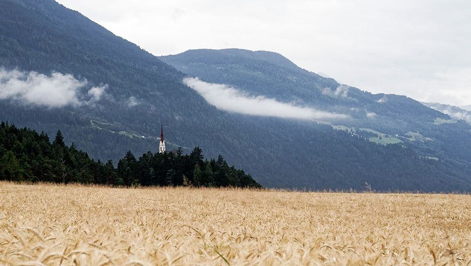 EddyHagen_2015_06_Obsteig_20150713_092853_DxO_v10_export_w950