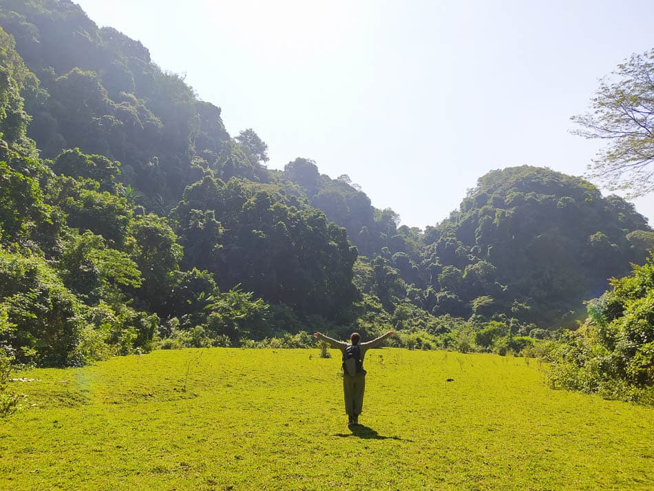 IMG 20241110 125236 Charlotte Charlotte Stevens W950