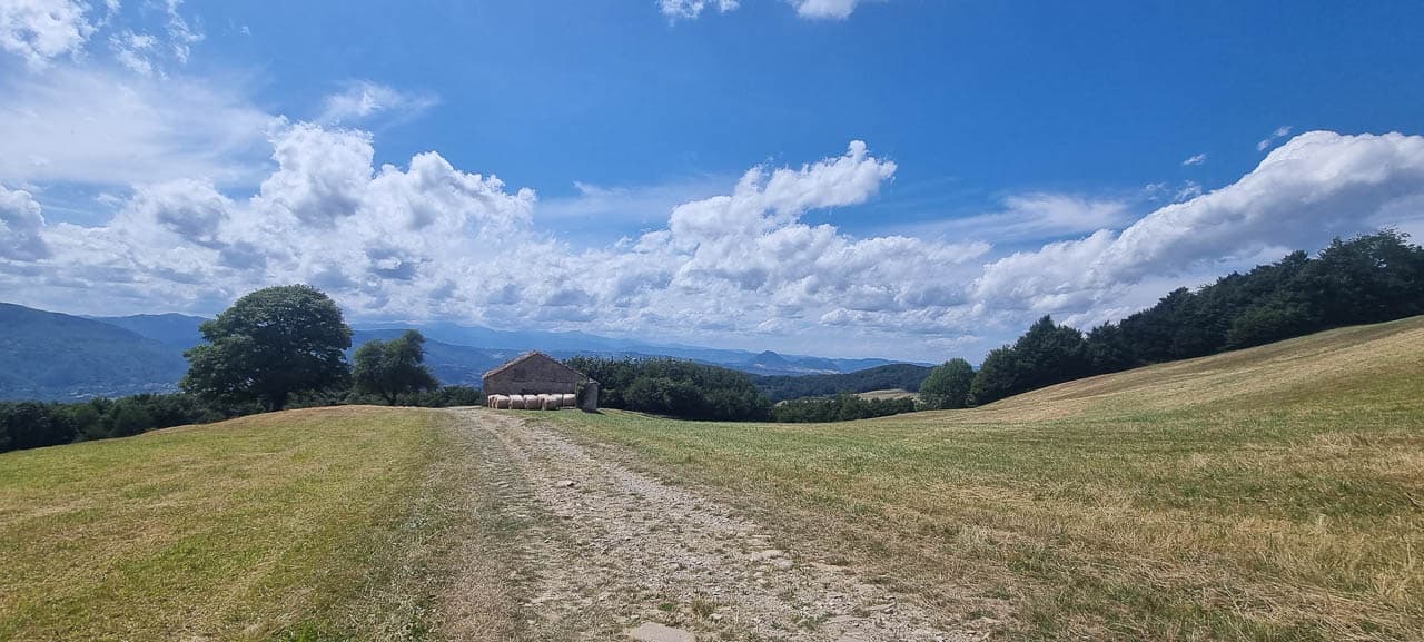 20250724 150816 Tom Dijckmans