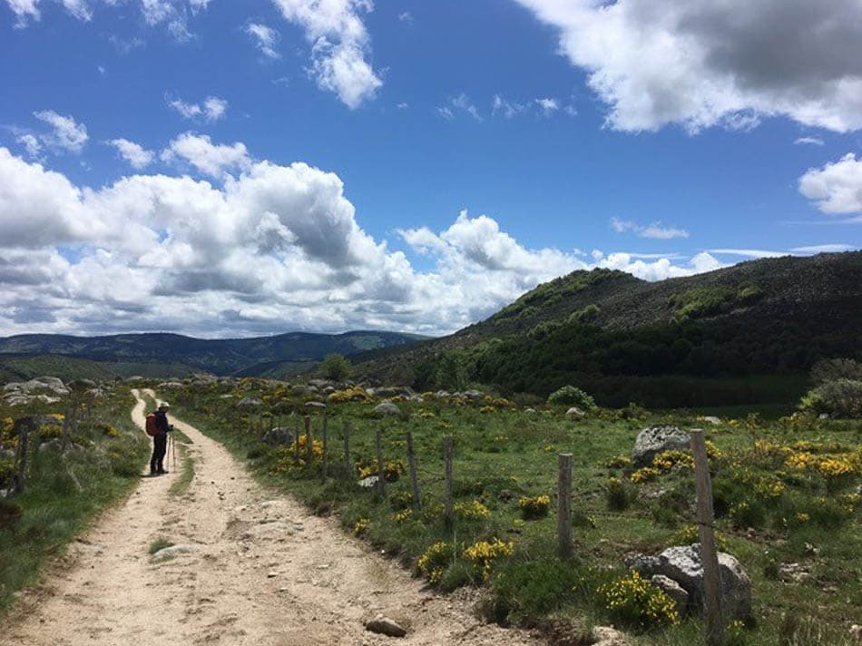 1. Bart Styfhals FR5CSA Bart Styfhals W950