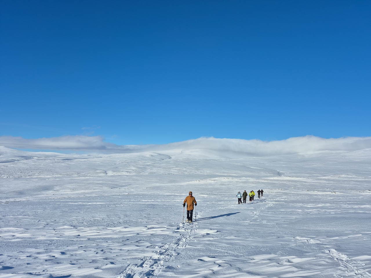 Selectie 20250310 151707 Edwin Vriesema