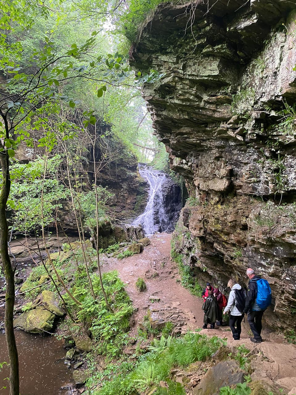 Annemie De Clercq IMG 8018 Annemie De Clercq