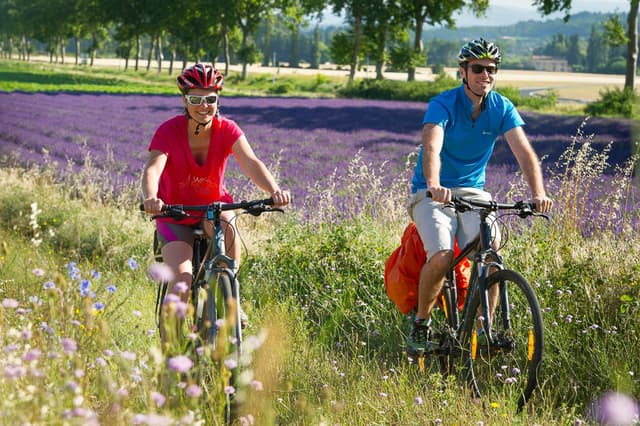 Drome Biovalle Velo Safrantours 11 FR6DRA Safran W950