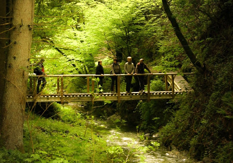 Moezel-Patrick-Sterckx-IMG_0389_export_w950