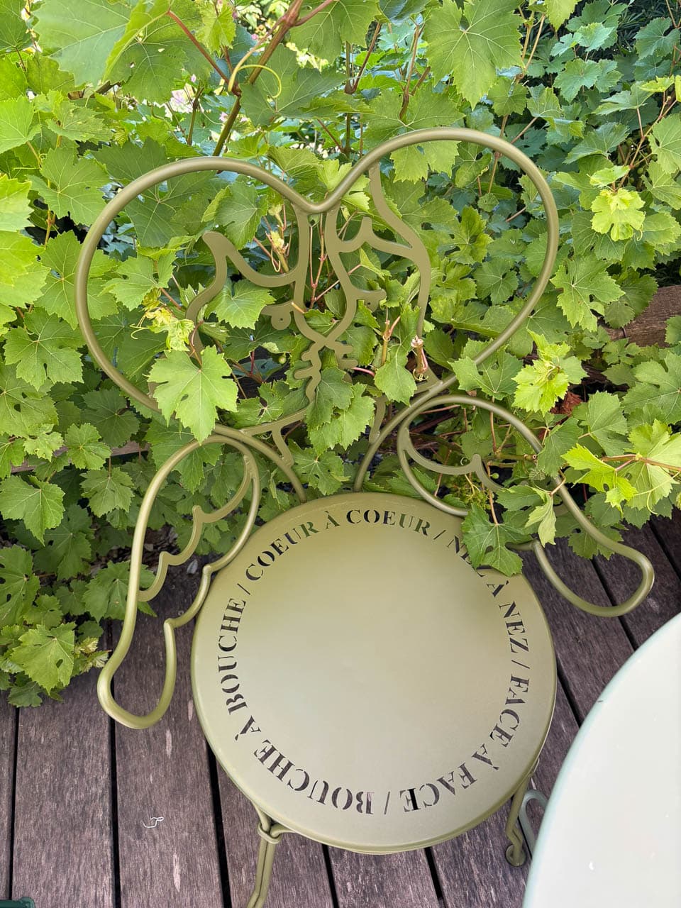 FR5CHA IMG 8412 Ann Tilley