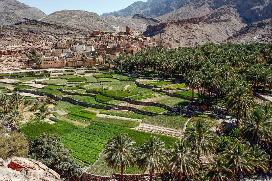 3 Selectie Rob Putseys W950