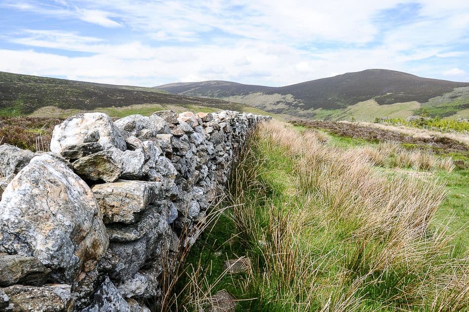 DSC_9622_export_w950 (2)