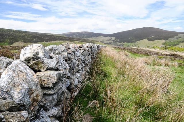 DSC_9622_export_w950 (2)