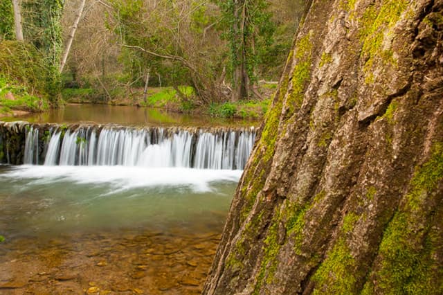 entorno-48-selectie-molino-alajar-photographer-antonio-j.-de-la-cerda-w950