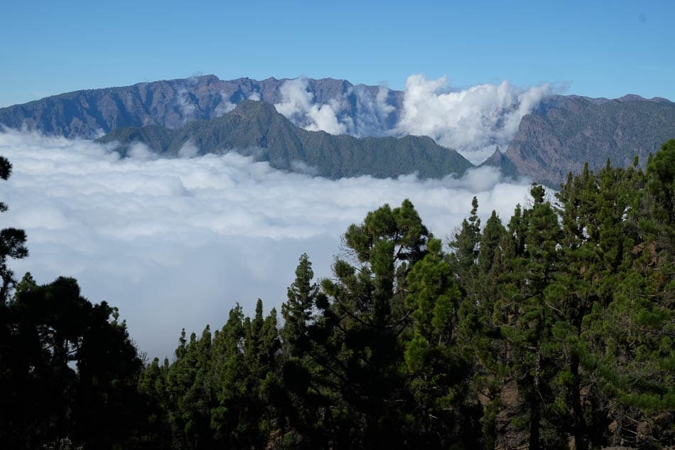 DSCF3228 Te Verwerken Maarten Caversoons W950