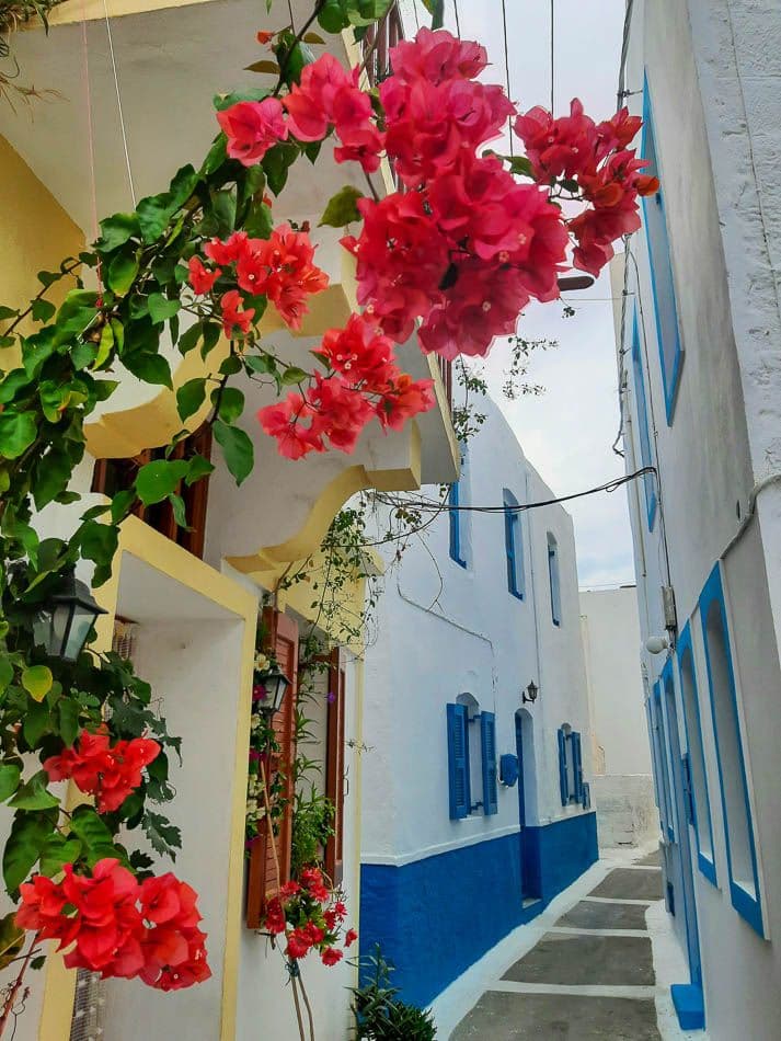 20211012_144421_steven-vertommen_w950