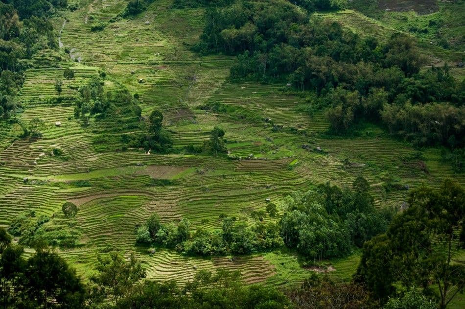 Java-Bali-Sulawesi-10-Stefaan-Moens-DSC_0620b-Custom