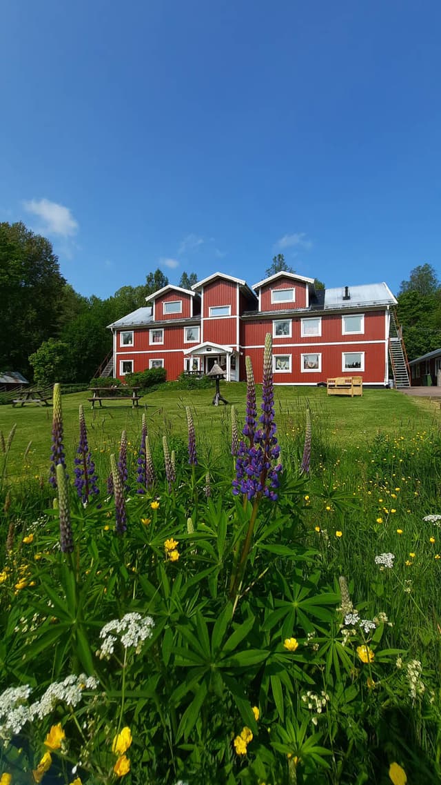 Nieuwe Foto's Huis 20250601 101601 Going North