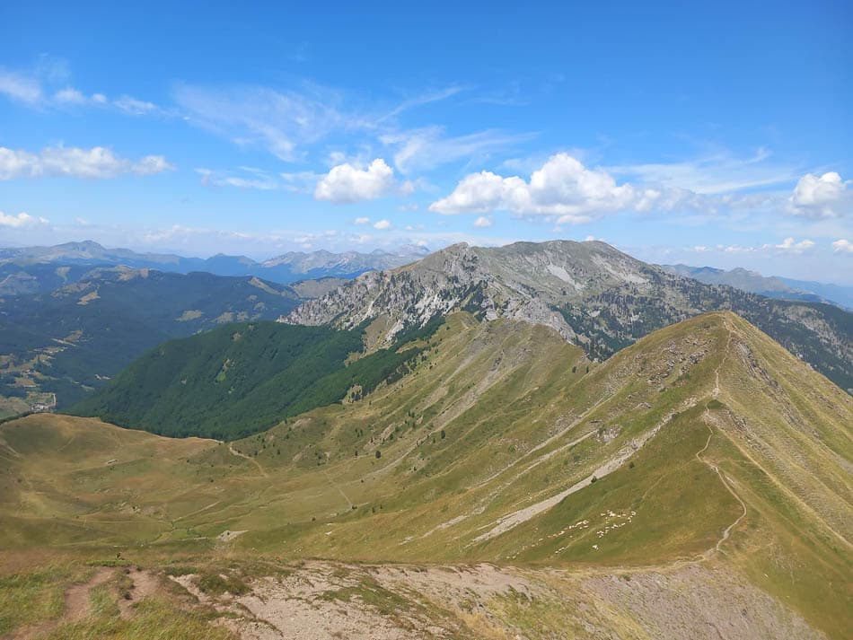 FIVM0453 Selectie Nancy Jans W950