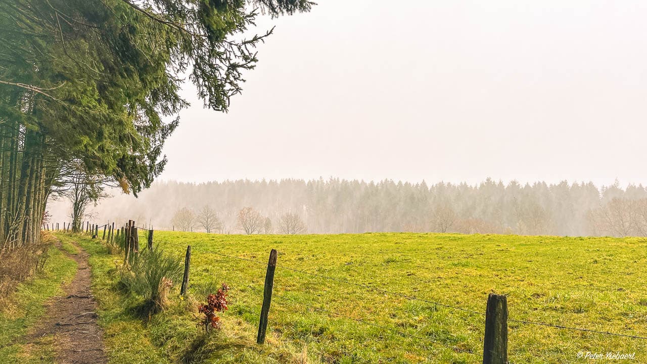 Venntrilogie 31 Ysebaert Peter Peter Ysebaert W1280